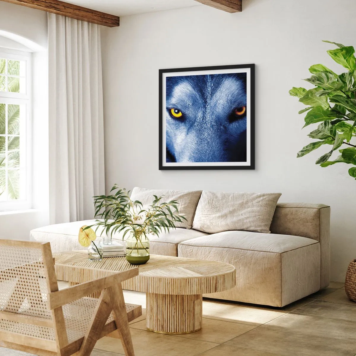 Plakat w czarnej ramie - Hipnotyzujące spojrzenie - 40x40 cm