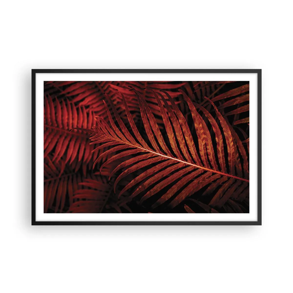 Plakat w czarnej ramie - Żar życia - 91x61 cm