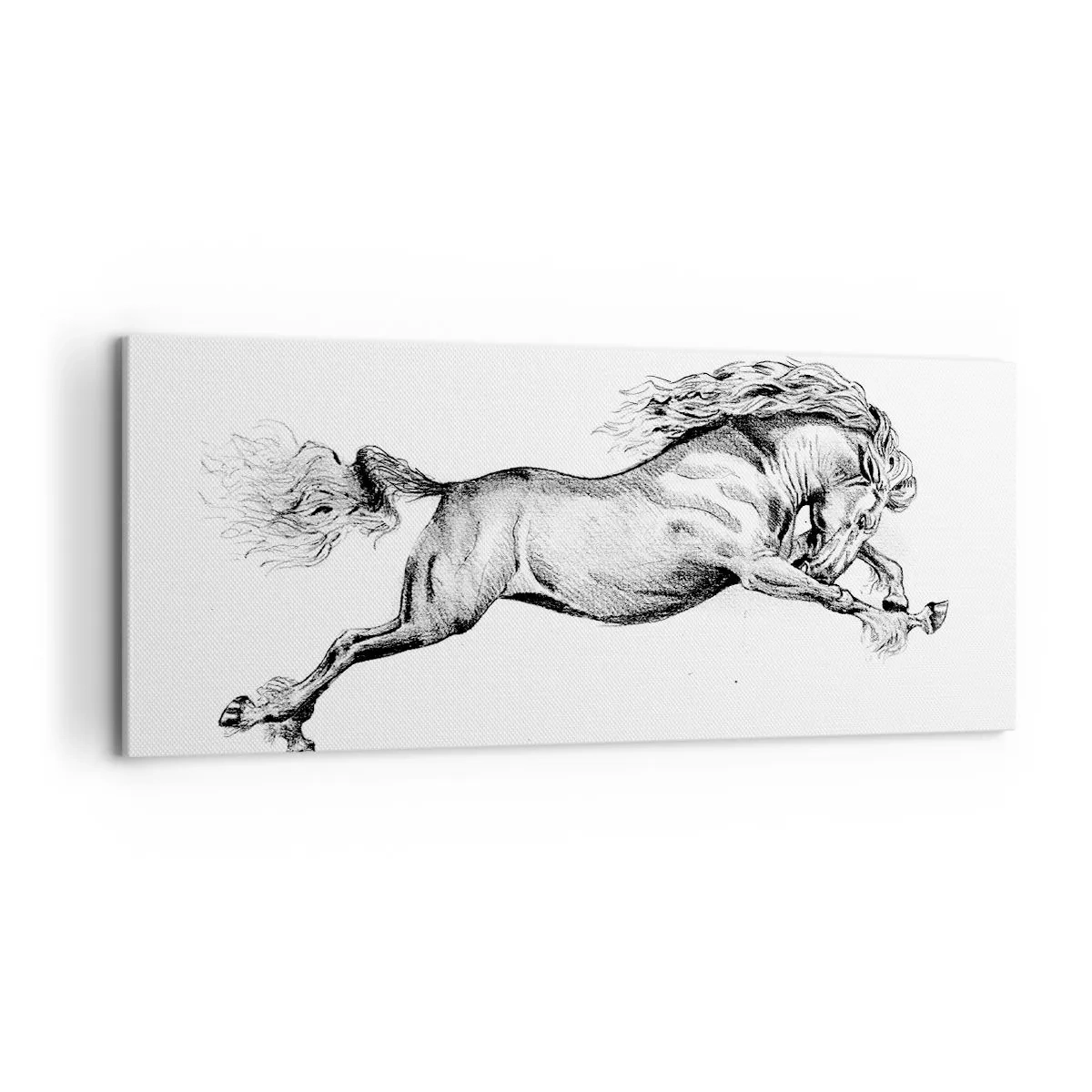 Obraz na płótnie - Zatrzymany w galopie - 100x40 cm