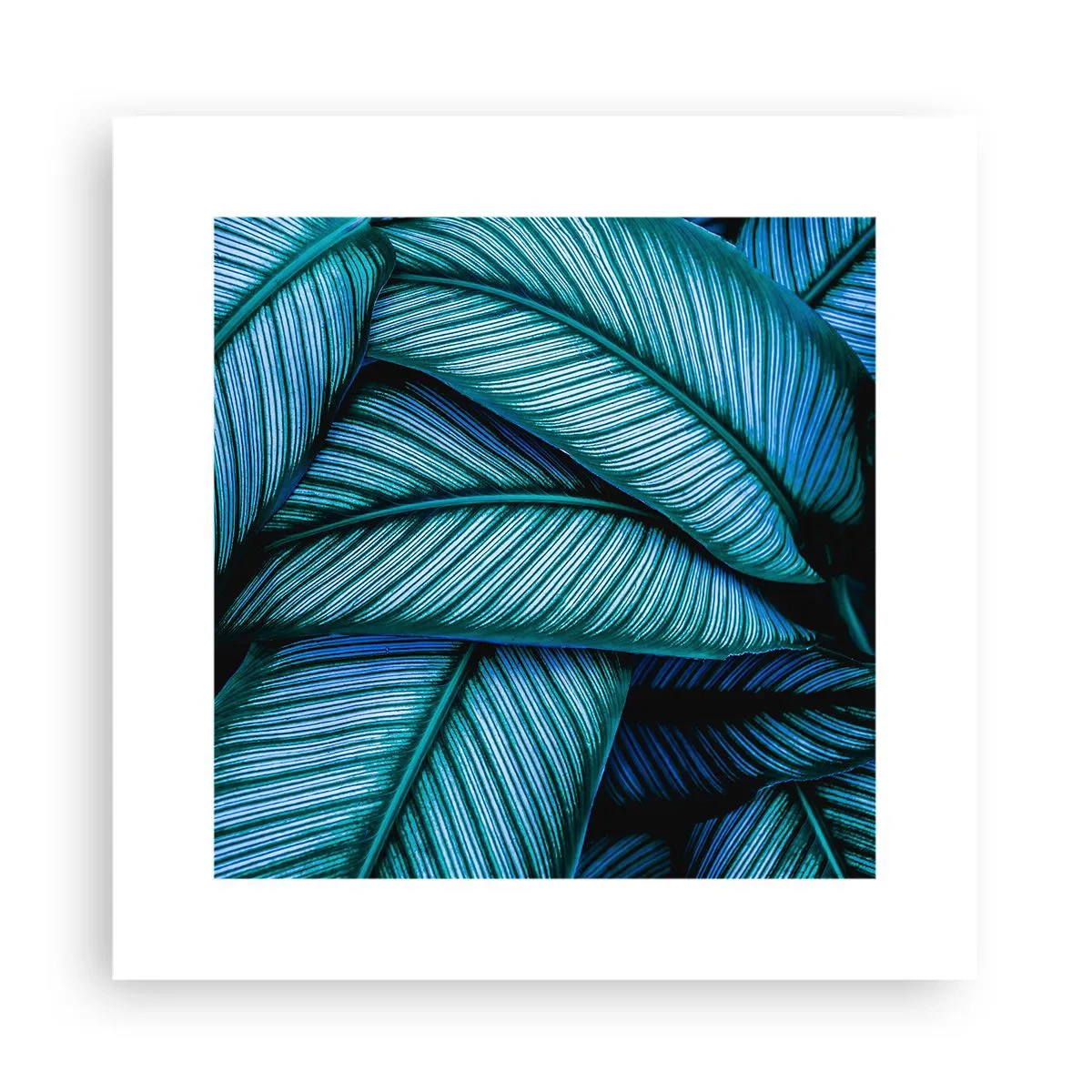 Plakat - Linie życia - 30x30 cm