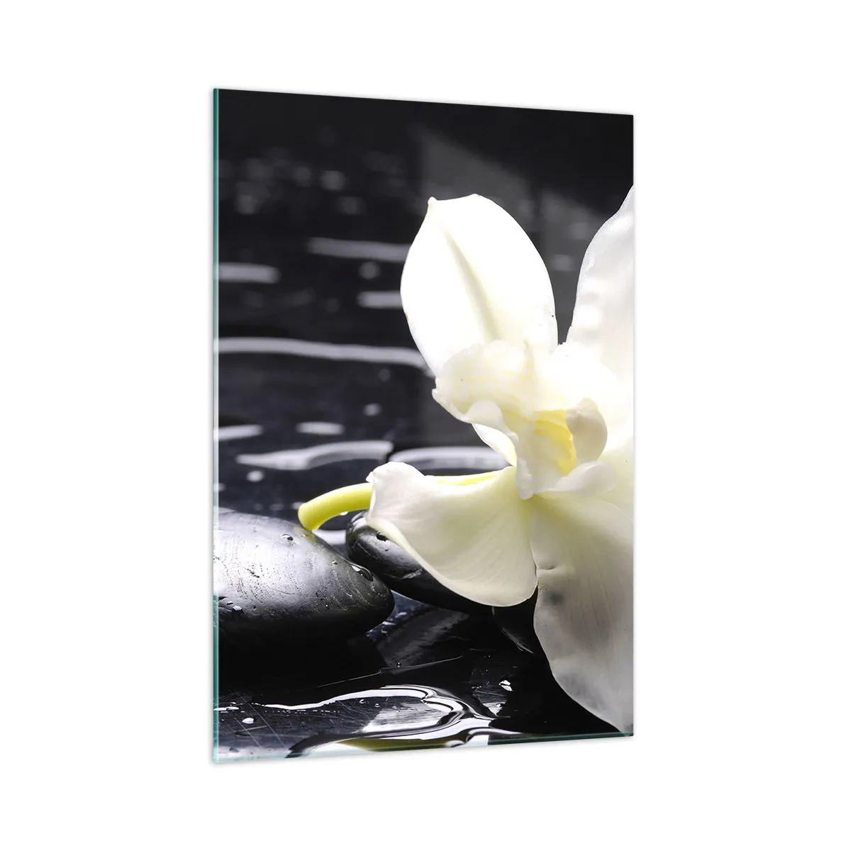 Obraz na szkle - Biała orchidea na mokrych czarnych kamieniach - 50x70cm - Studium w czerni i bieli - Nowoczesna dekoracja ścienna do salonu, kuchni i sypialni ARTTOR