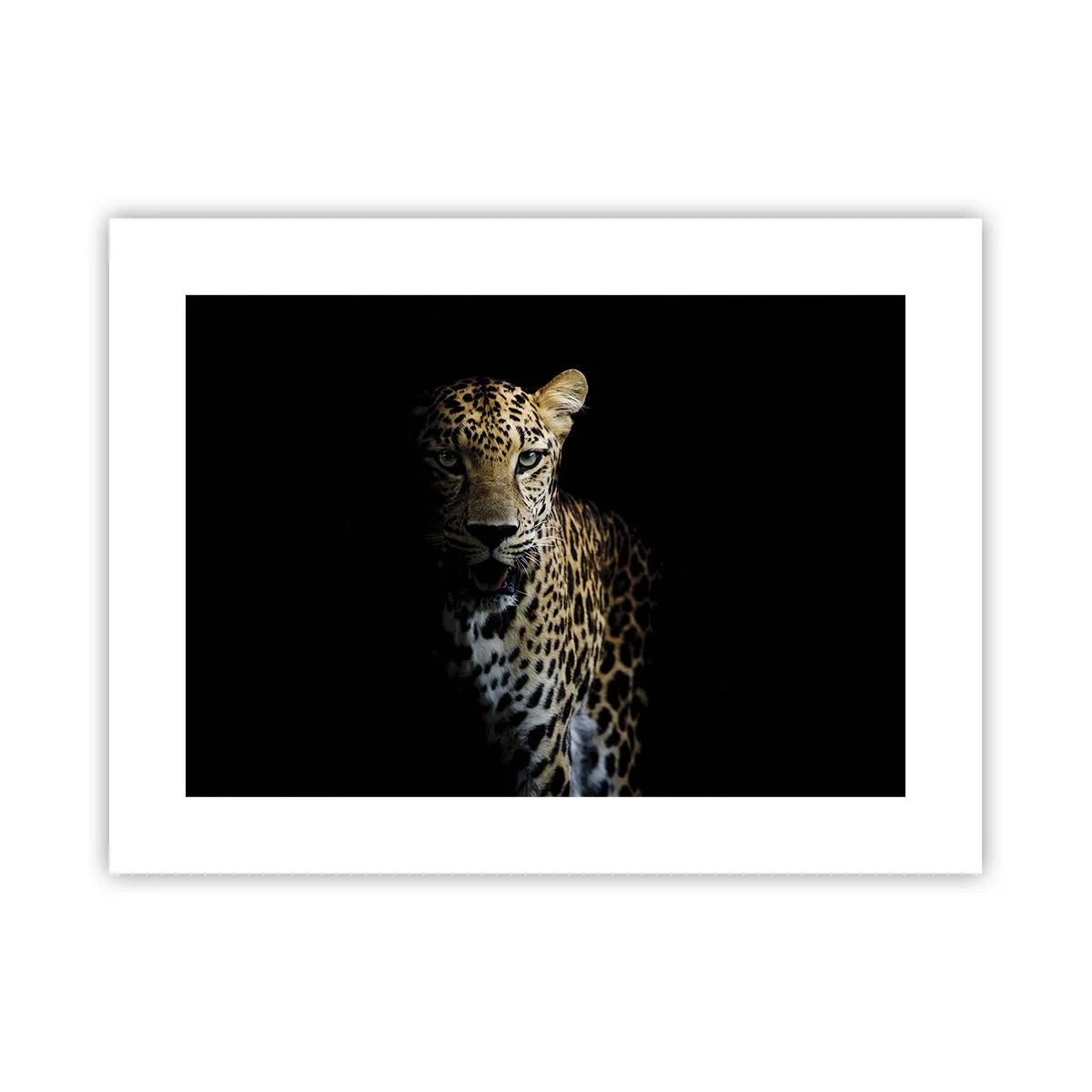 Plakat - Mroczne piękno - 40x30 cm