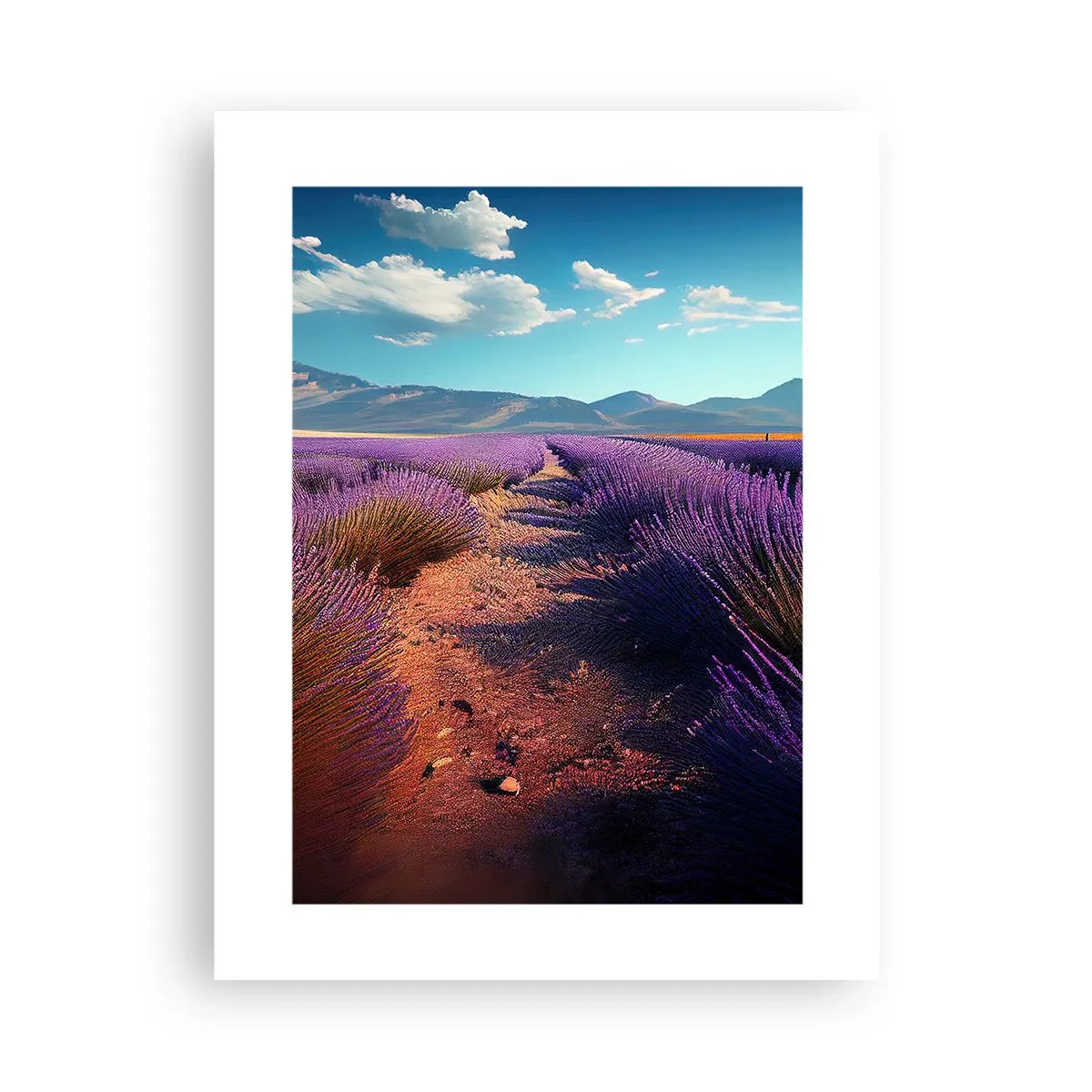 Plakat - Pachnące pola - 30x40 cm