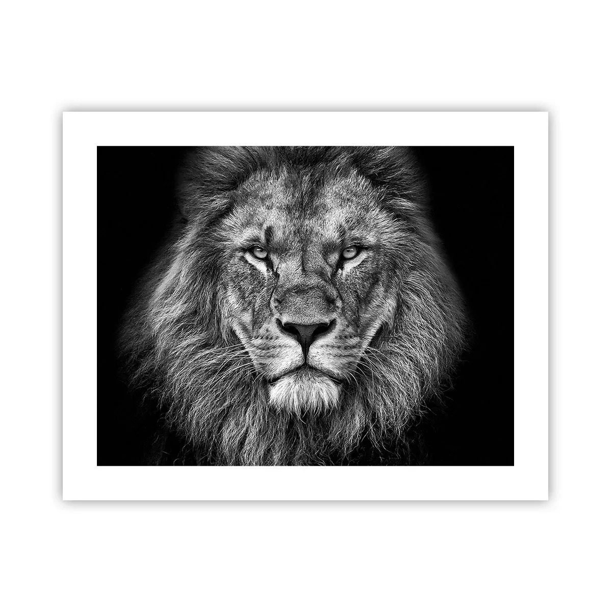 Plakat - W stroju koronacyjnym - 50x40 cm
