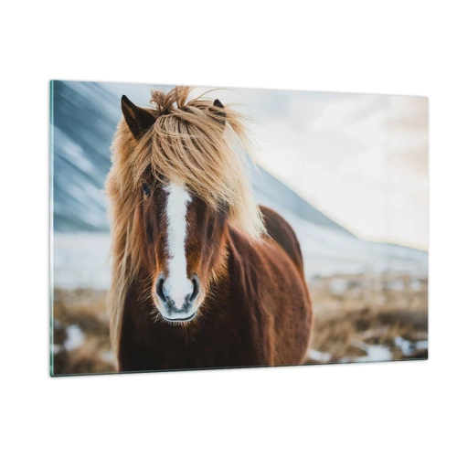 Obraz na szkle - Koń na tle górskiego krajobrazu zimą - 120x80cm - Czujesz wolność? - Nowoczesna dekoracja ścienna do salonu, kuchni i sypialni ARTTOR