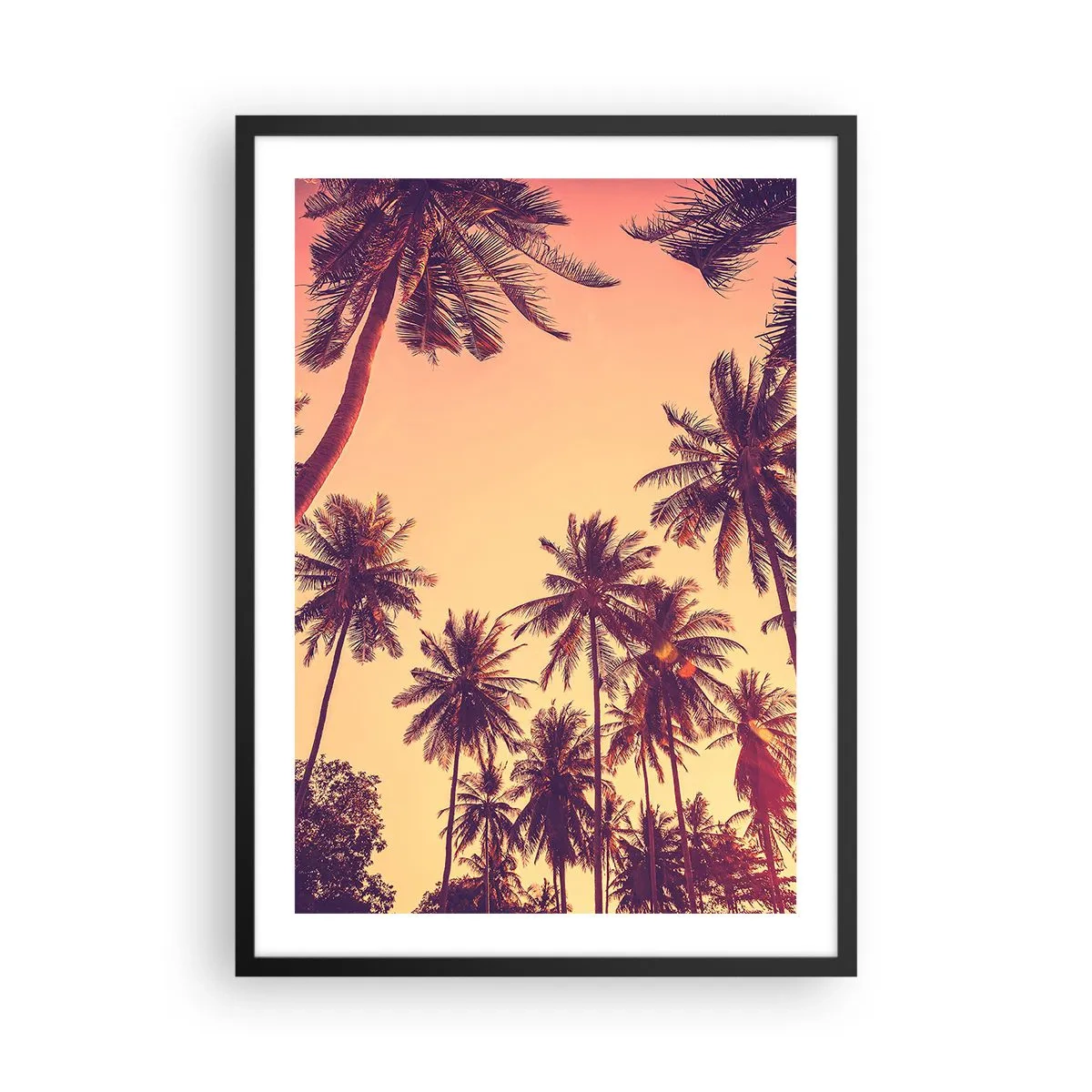 Plakat w czarnej ramie - Palmy w ciepłych barwach zachodu słońca - 50x70cm - Tropikalna wariacja - Nowoczesna dekoracja ścienna do salonu i sypialni ARTTOR