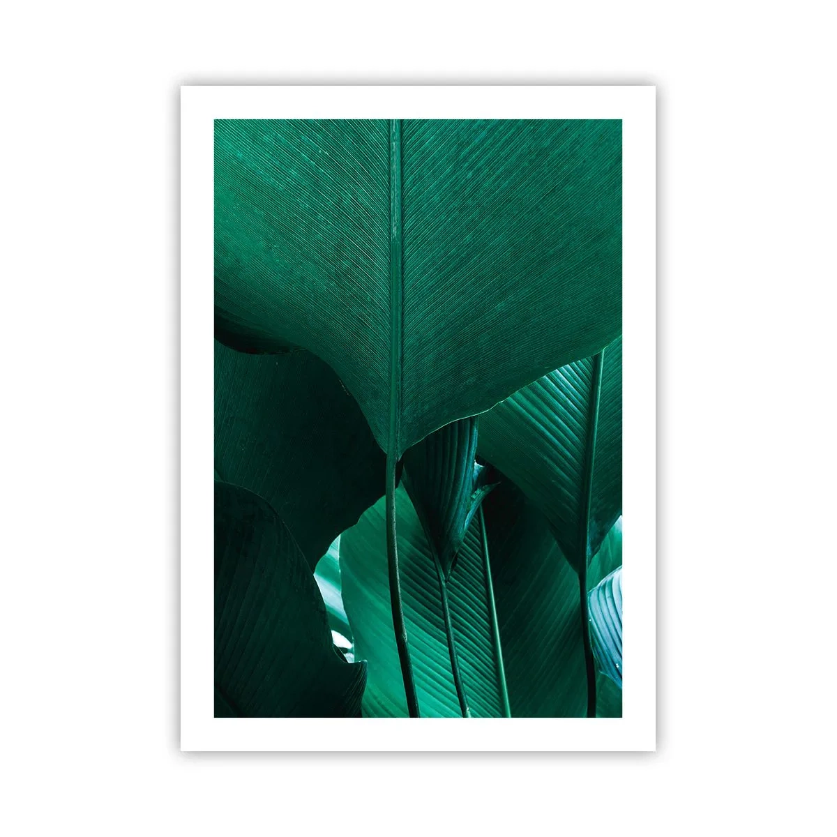 Plakat - Zbliżenie na duże zielone liście z widoczną strukturą i teksturą - 50x70cm - Zwrócone do światła - Nowoczesna dekoracja ścienna do salonu, kuchni i sypialni ARTTOR