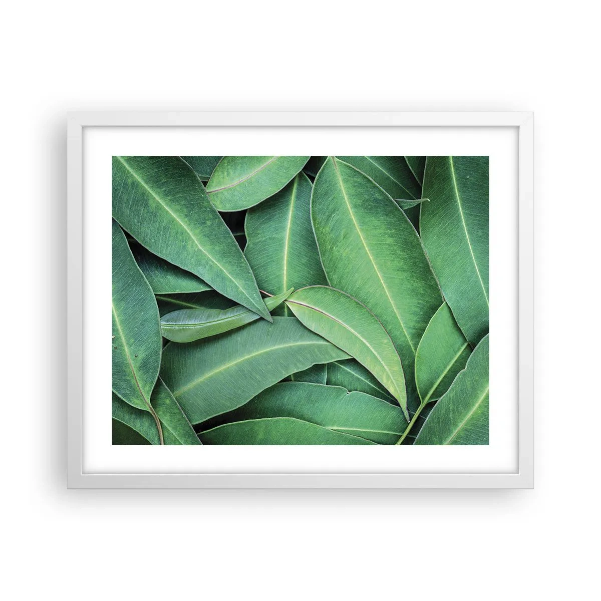 Plakat w białej ramie - Soczyste i świeże - 50x40 cm