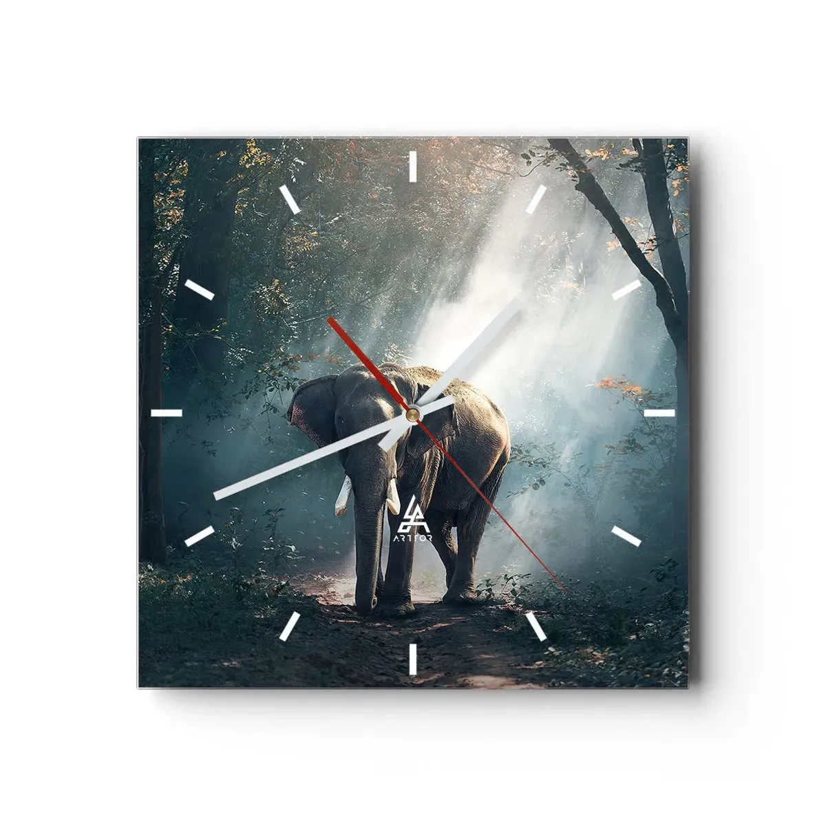 Zegar ścienny - Spokojna przechadzka - 40x40 cm