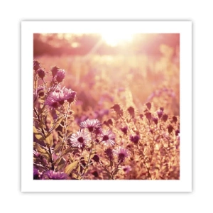 Plakat - Przed odejściem lata - 50x50 cm