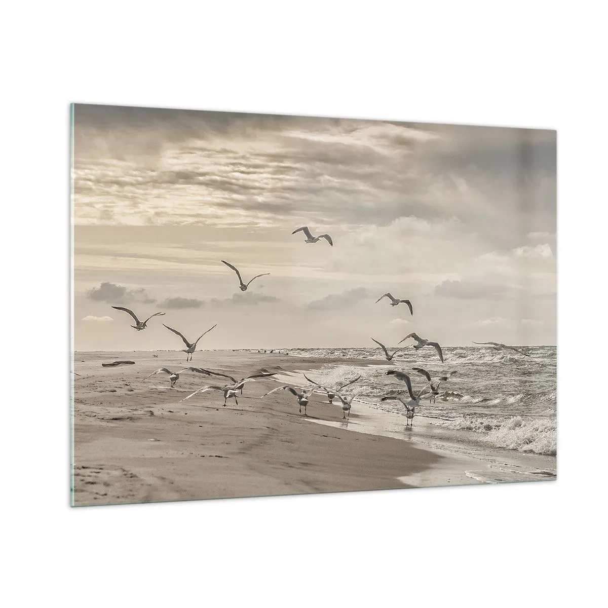 Obraz na szkle - Ptaki nad brzegiem morza o świcie w odcieniach sepii - 100x70cm - Morza szum, ptaków śpiew - Nowoczesna dekoracja ścienna do salonu, kuchni i sypialni ARTTOR