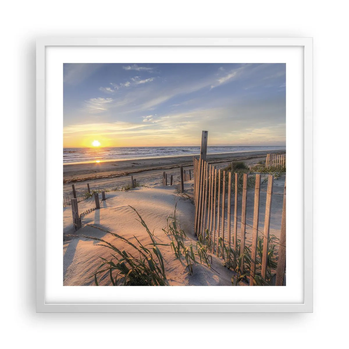 Plakat w białej ramie - Blask i cień wiatru - 50x50 cm