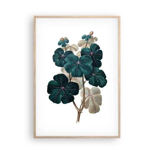Plakat w ramie jasny dąb - Ze starego zielnika - 70x100 cm