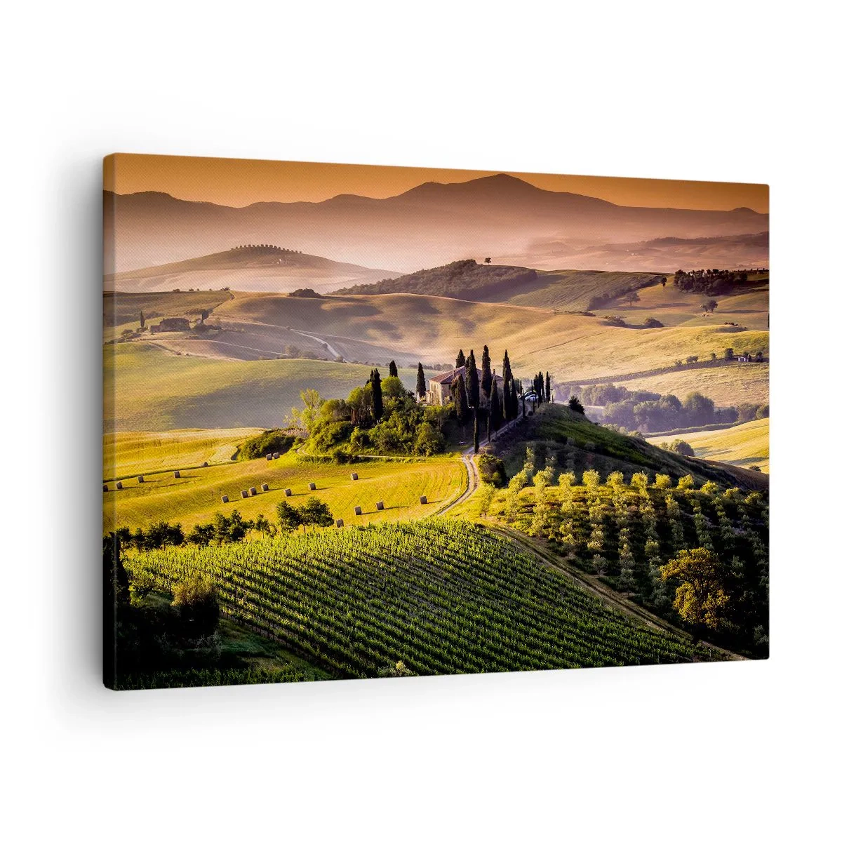 Obraz na płótnie - Toskański krajobraz z winnicami i domem na wzgórzu - 70x50cm - Arkadia - pejzaż toskański - Nowoczesna dekoracja ścienna do salonu i sypialni ARTTOR