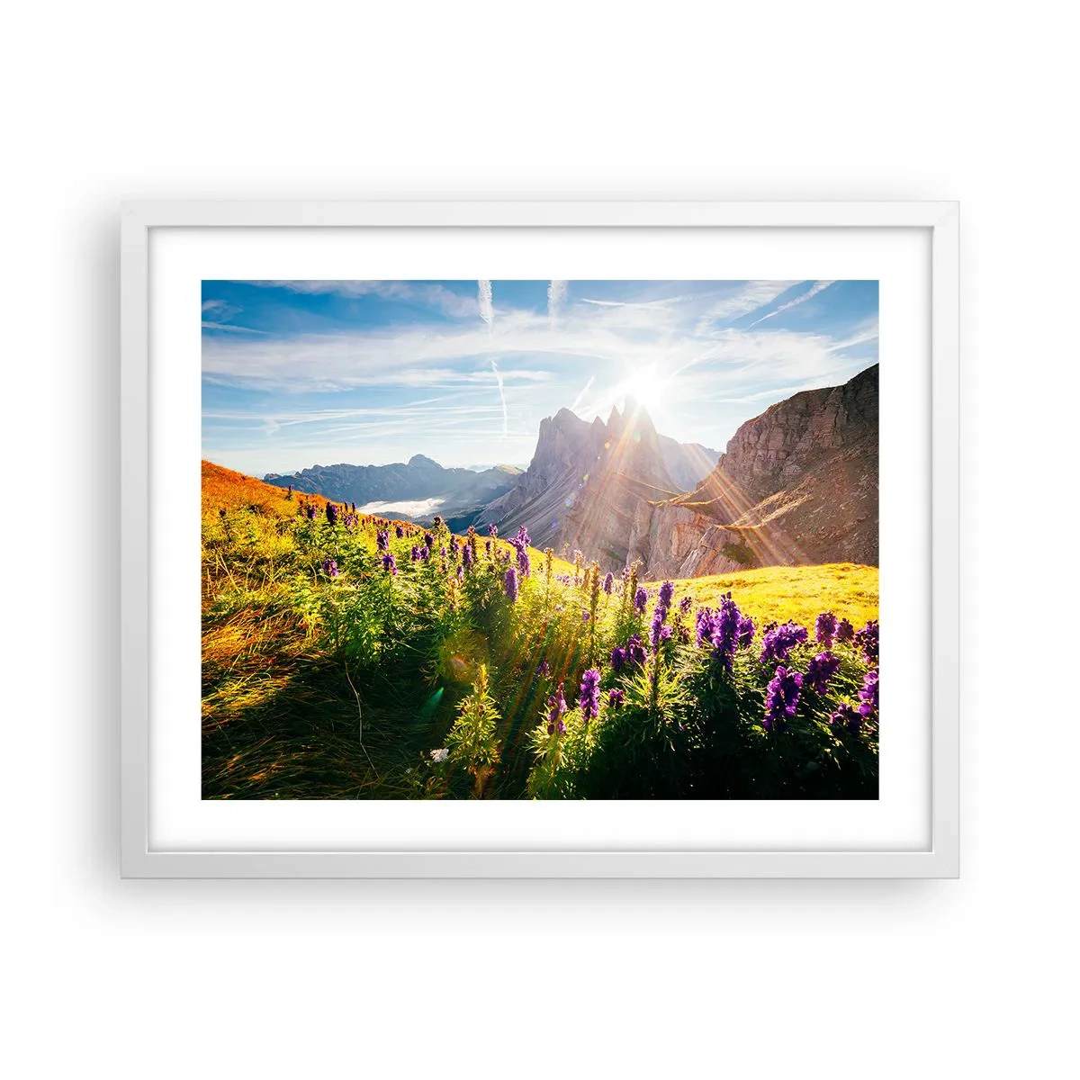 Plakat w białej ramie - Sekretne życie ziół - 50x40 cm