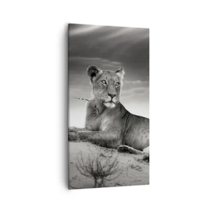 Obraz na płótnie - Odpoczynek królowej pustyni - 55x100 cm