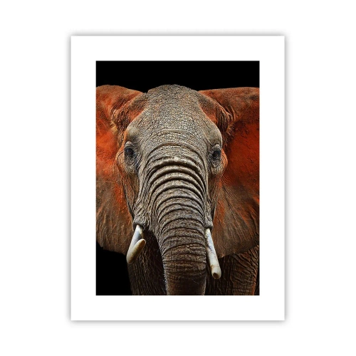 Plakat - Jestem dziki, a ty? - 30x40 cm