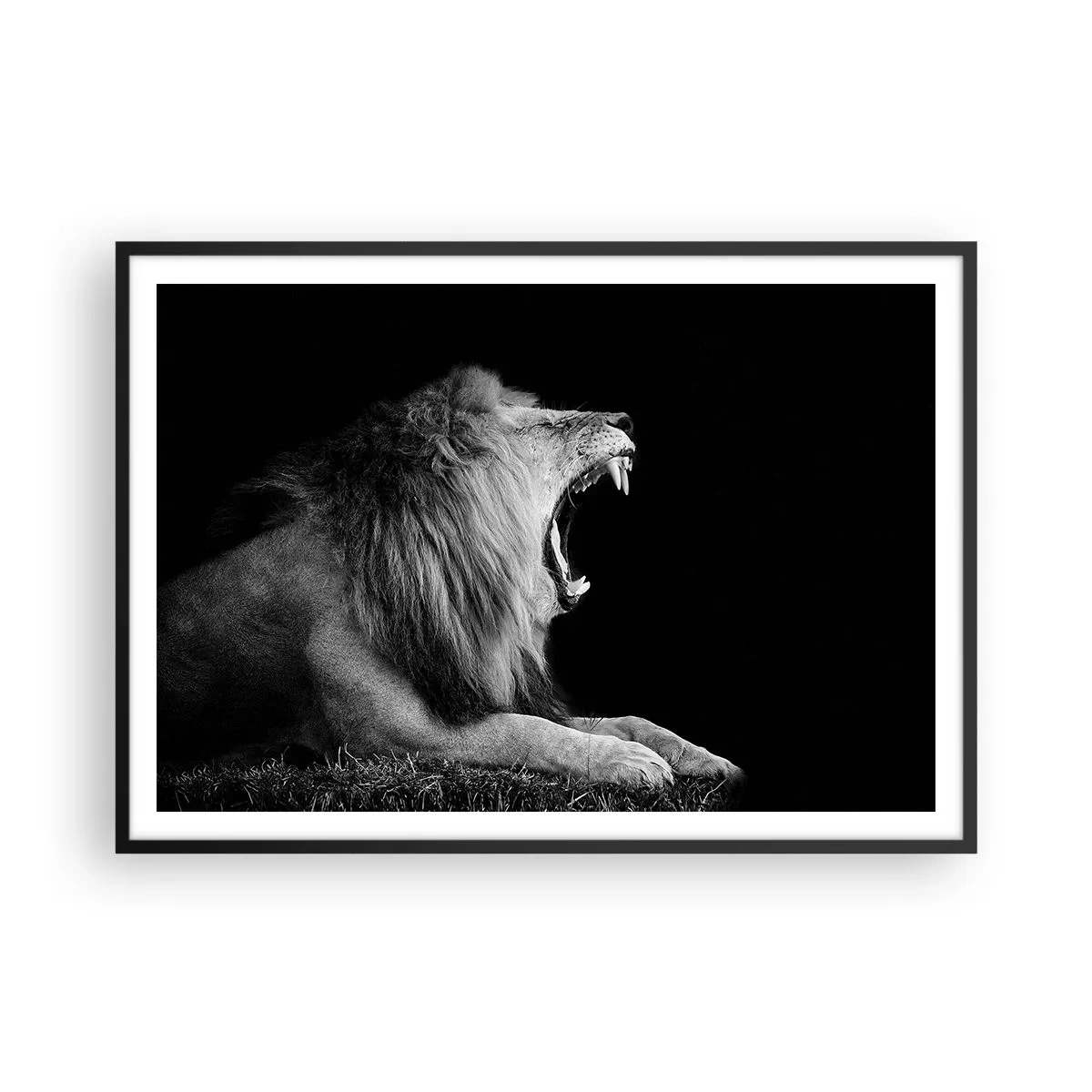 Plakat w czarnej ramie - Ryczący lew na czarnym tle w czarno-białej tonacji - 100x70cm - Bez żadnych wątpliwości - Nowoczesna dekoracja ścienna do salonu i sypialni ARTTOR