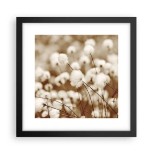 Plakat w czarnej ramie - Puszysty łan - 30x30 cm