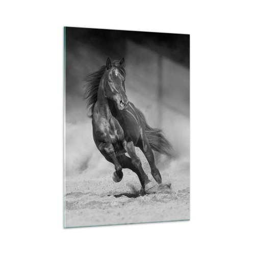 Obraz na szkle - Czarny koń galopujący po piasku w czarno-białej tonacji - 50x70cm - Godny samego emira - Nowoczesna dekoracja ścienna do salonu, kuchni i sypialni ARTTOR