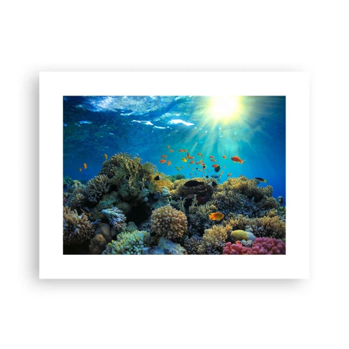 Plakat - Podwodne skarby - 40x30 cm