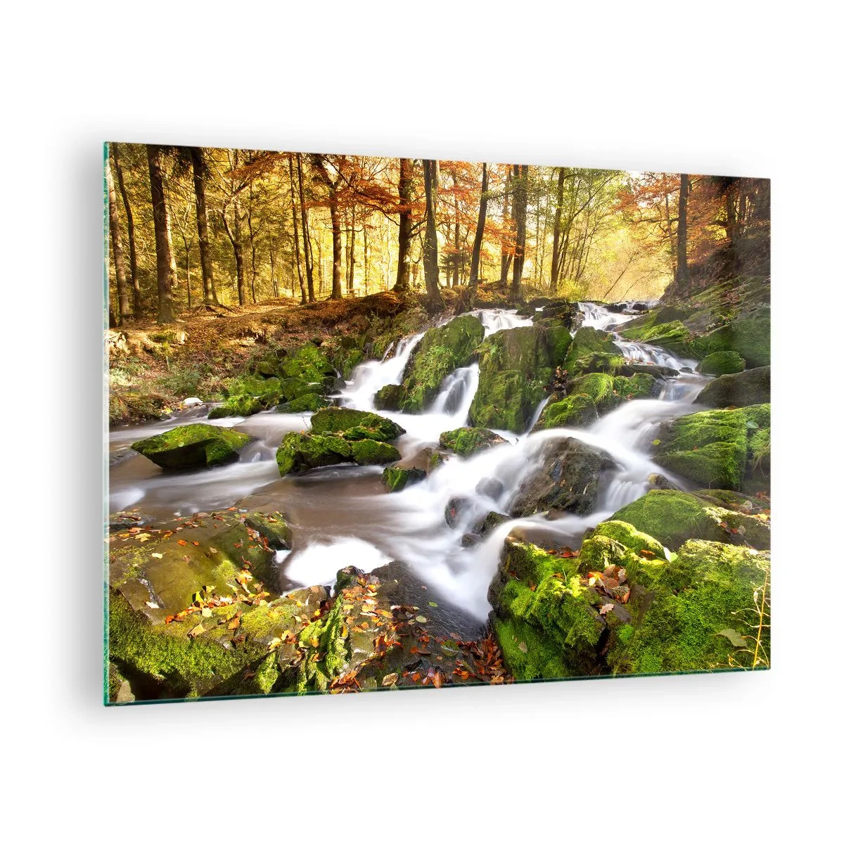 Obraz na szkle - Leśny strumień z wodospadami w jesiennym krajobrazie - 70x50cm - Bystro przez jesienny las - Nowoczesna dekoracja ścienna do salonu i sypialni ARTTOR