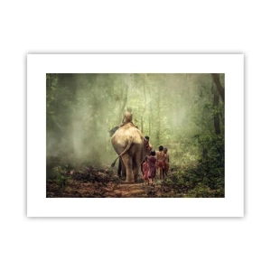 Plakat - Nowa Księga Dżungli - 40x30 cm