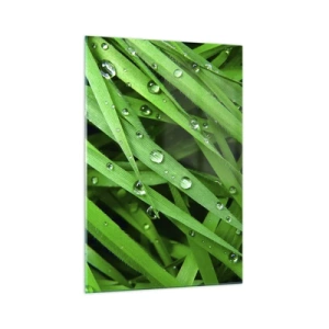 Obraz na szkle - Zielone źdźbła trawy z kroplami rosy w zbliżeniu - 70x100cm - Zagraj w zielone - Nowoczesna dekoracja ścienna do salonu i sypialni ARTTOR