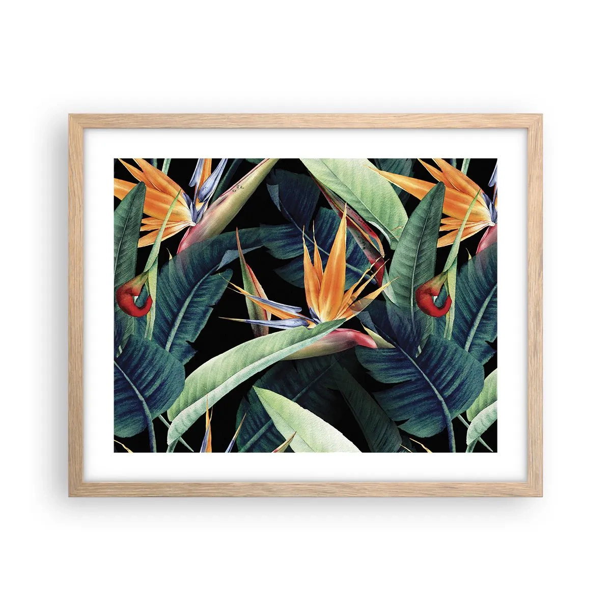 Plakat w ramie jasny dąb - Płomienne kwiaty tropików - 50x40 cm