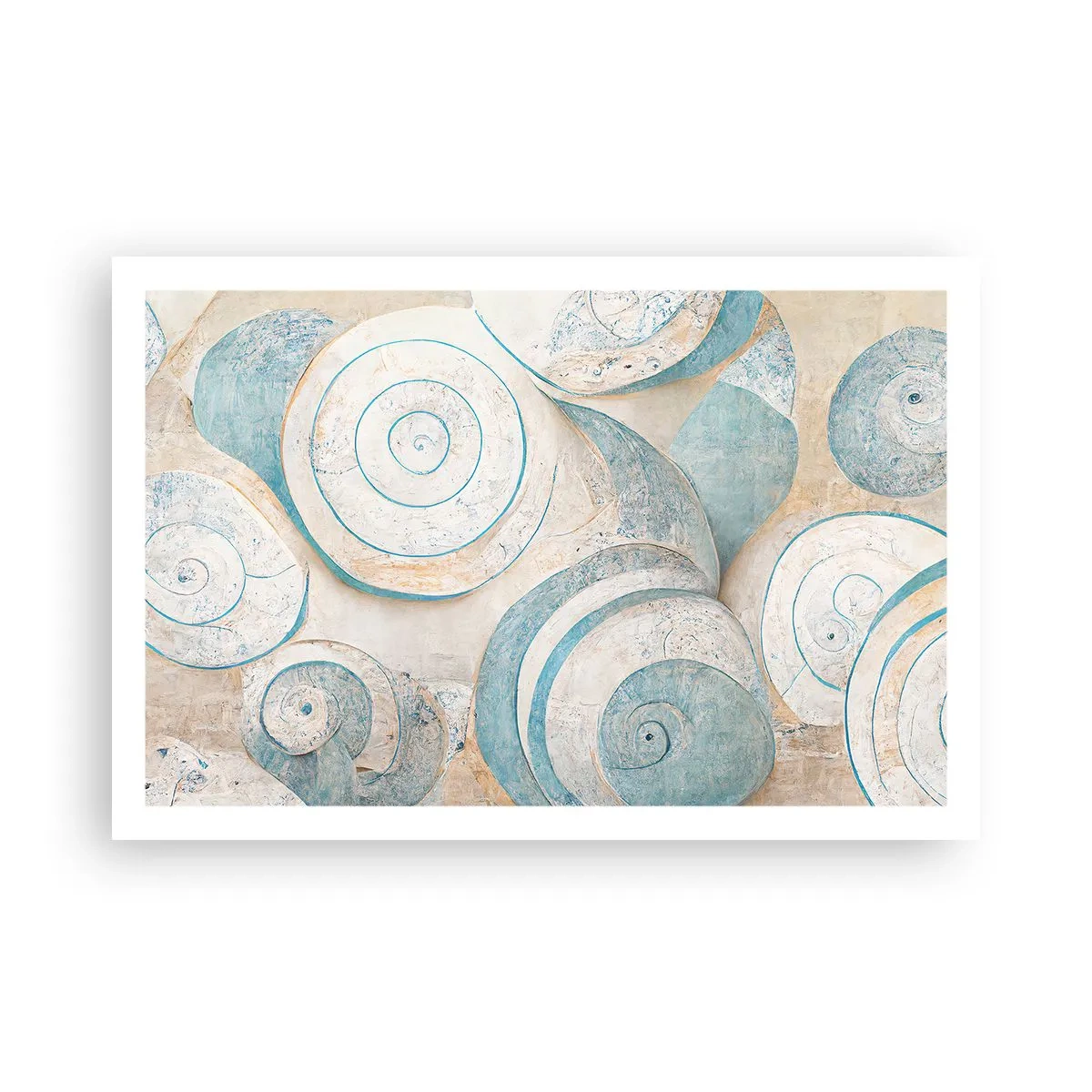 Plakat - Co kryje muszla? - 91x61 cm