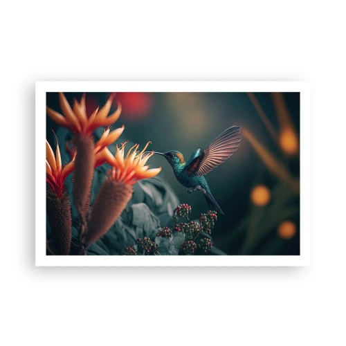Plakat - naprawdę barwne życie - 91x61 cm