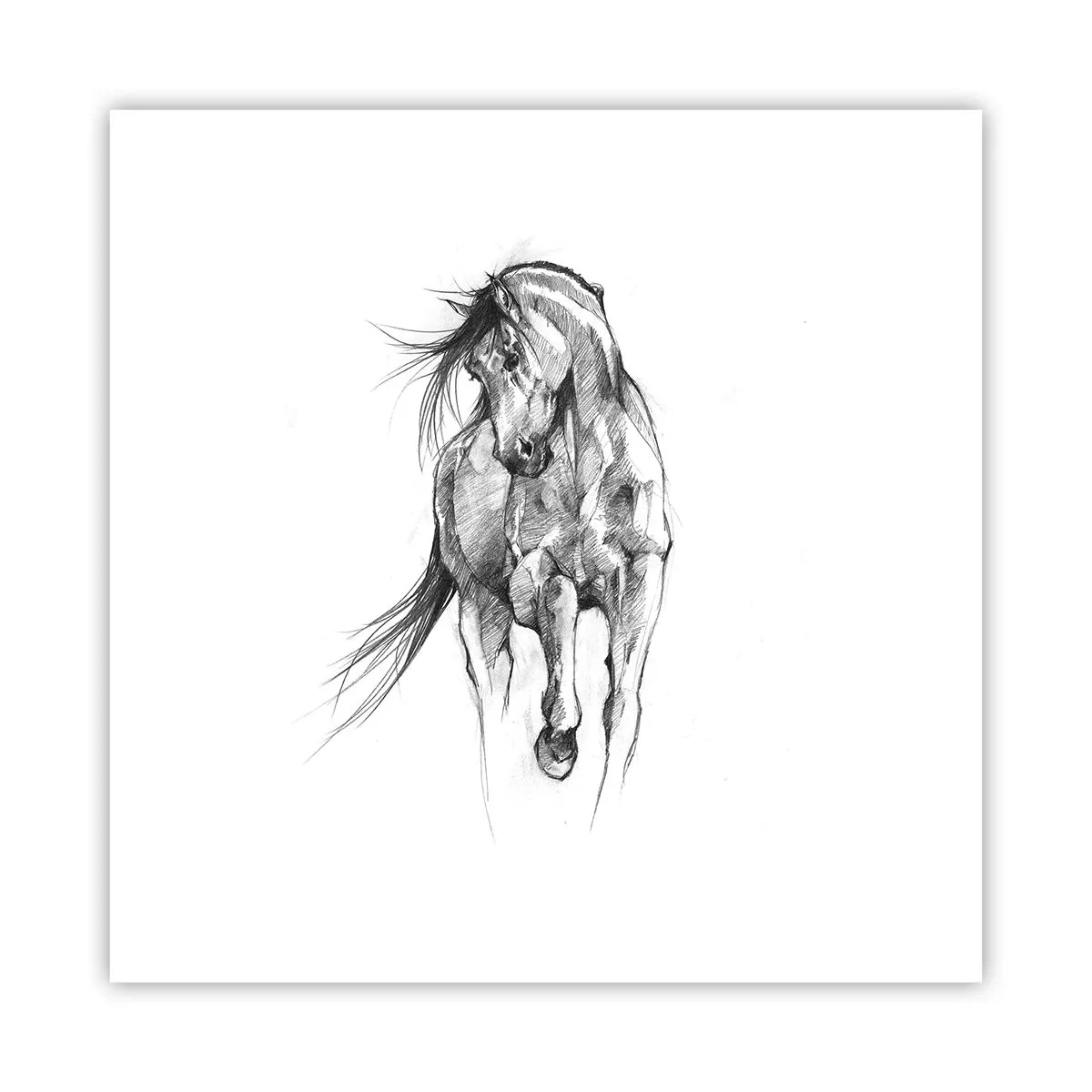Plakat - We wdzięcznym kłusie - 30x30 cm