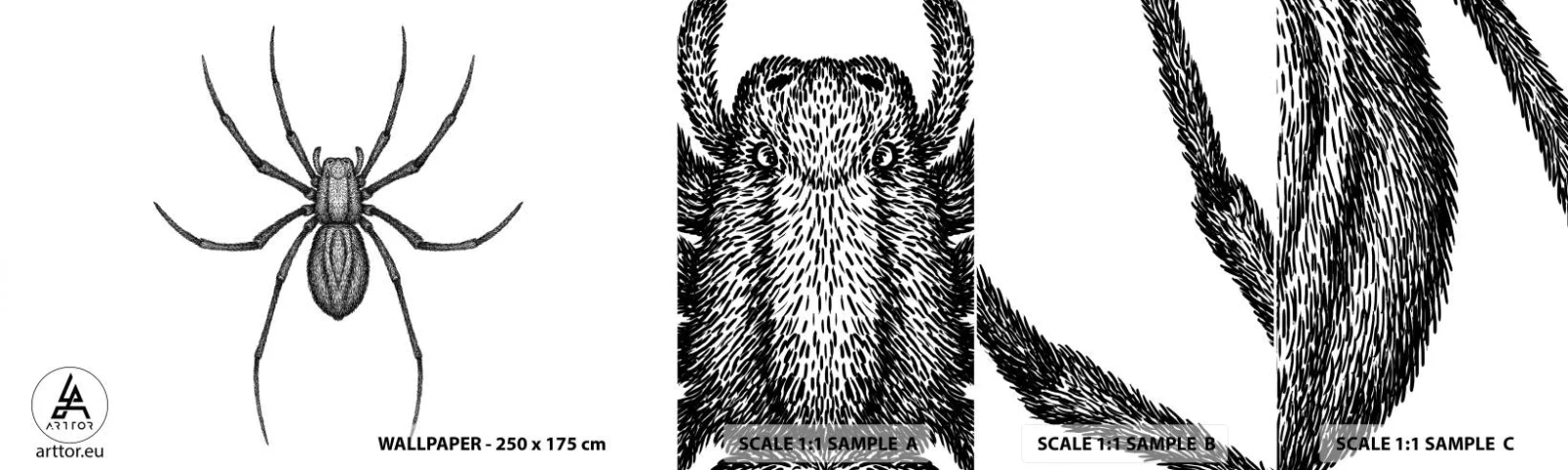 Fototapeta Próbka Samoprzylepna Deluxe Sticker - Niepokojąca precyzja - Pająk, Owad, Minimalistyczny - 100x30 cm