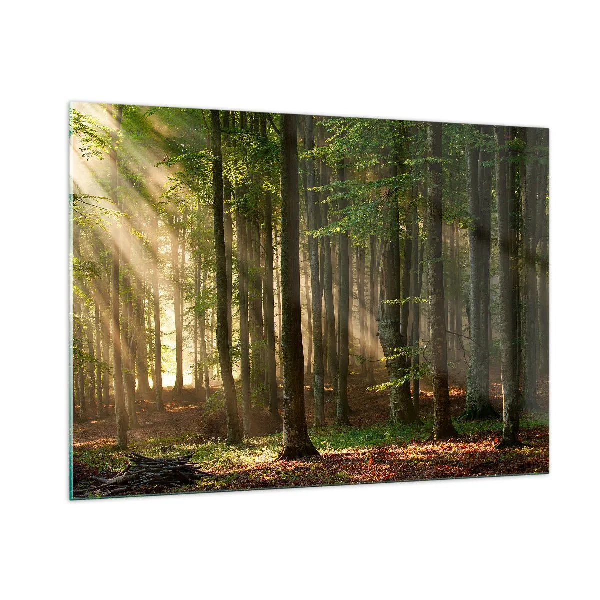 Obraz na szkle - Promienie słońca przebijające się przez drzewa w lesie - 100x70cm - Rozpromieniony w wiosenny poranek - Nowoczesna dekoracja ścienna do salonu, kuchni i sypialni ARTTOR