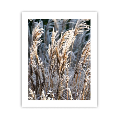 Plakat - Szronem ustrojone - 40x50 cm