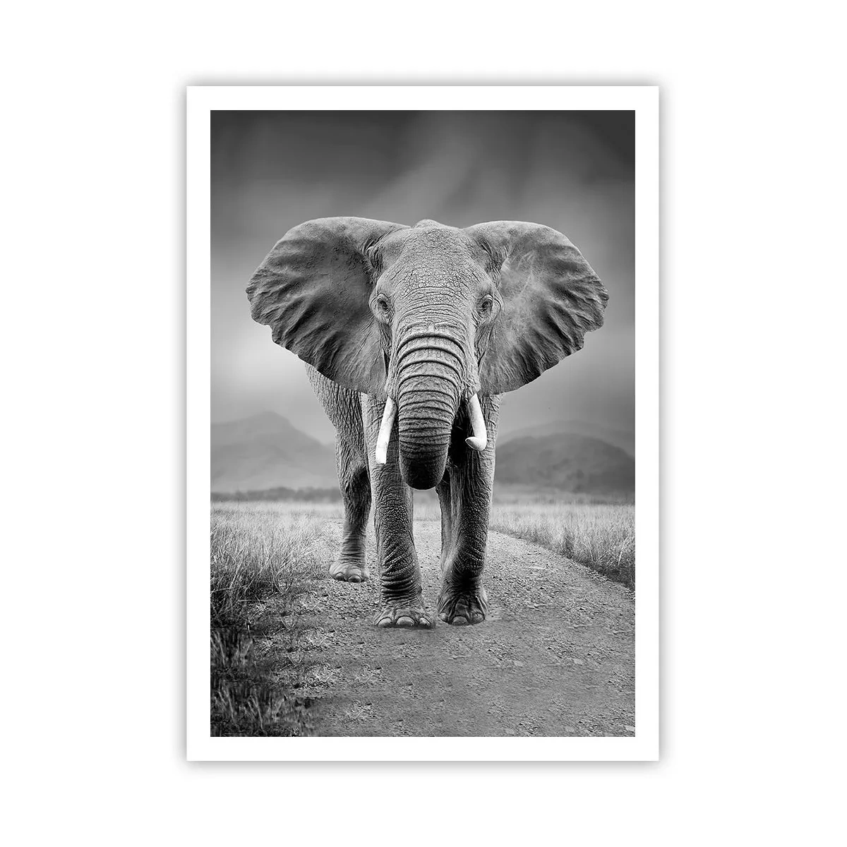 Plakat - Gospodarz wita - 70x100 cm