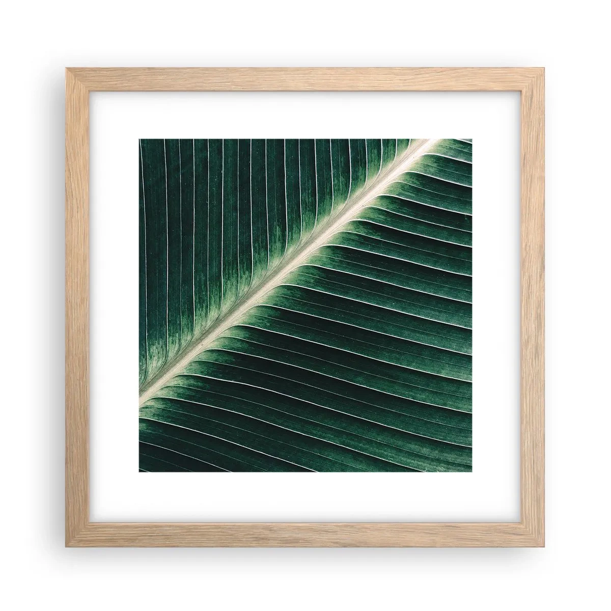 Plakat w ramie jasny dąb - Rytm natury - 30x30 cm