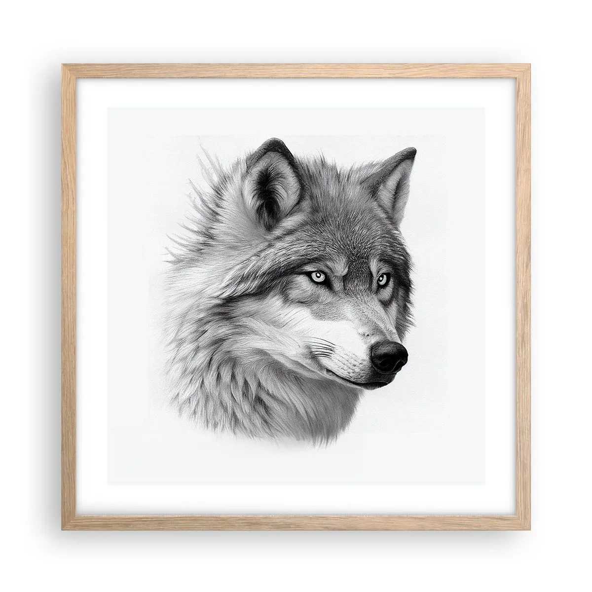 Plakat w ramie jasny dąb - Alfa – bez wątpienia - 50x50 cm