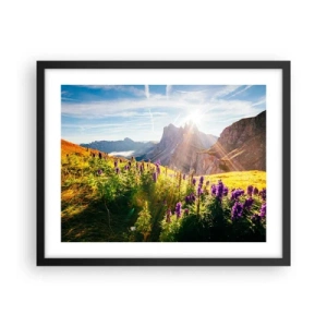 Plakat w czarnej ramie - Sekretne życie ziół - 50x40 cm