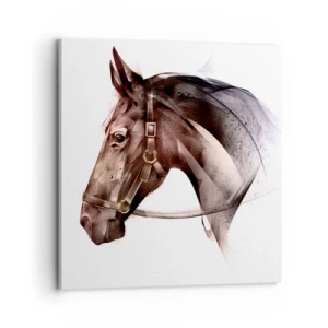 Obraz na płótnie - Co za wdzięk - 70x70 cm