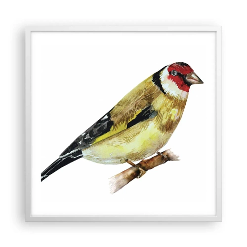 Plakat w białej ramie - Ptasi portret - 60x60 cm
