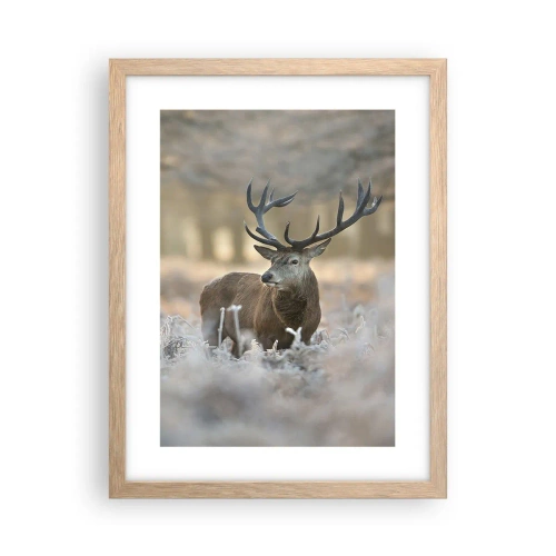 Plakat w ramie jasny dąb - Rześki poranek - 30x40 cm