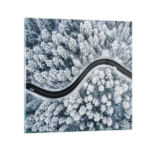 Obraz na szkle - Przez zimowy las - 30x30 cm