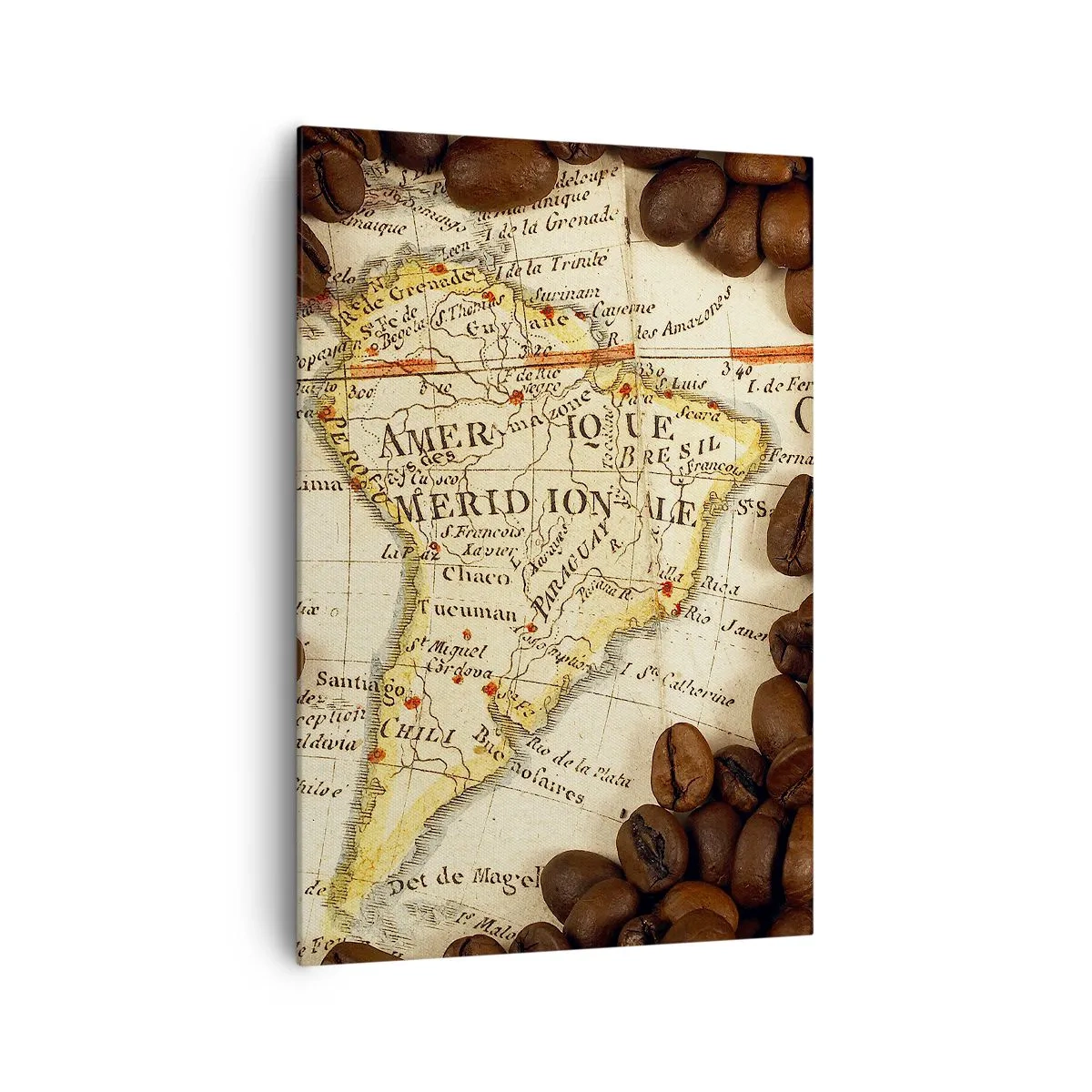 Obraz na płótnie - Mapa Ameryki Południowej otoczona ziarnami kawy - 70x100cm - Skąd pochodzi najlepsza kawa? - Nowoczesna dekoracja ścienna do salonu i sypialni ARTTOR