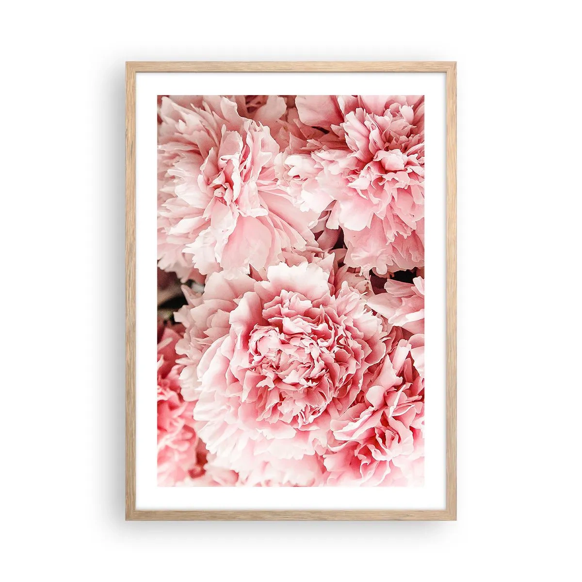 Plakat w ramie jasny dąb - Różowe marzenie - 50x70 cm