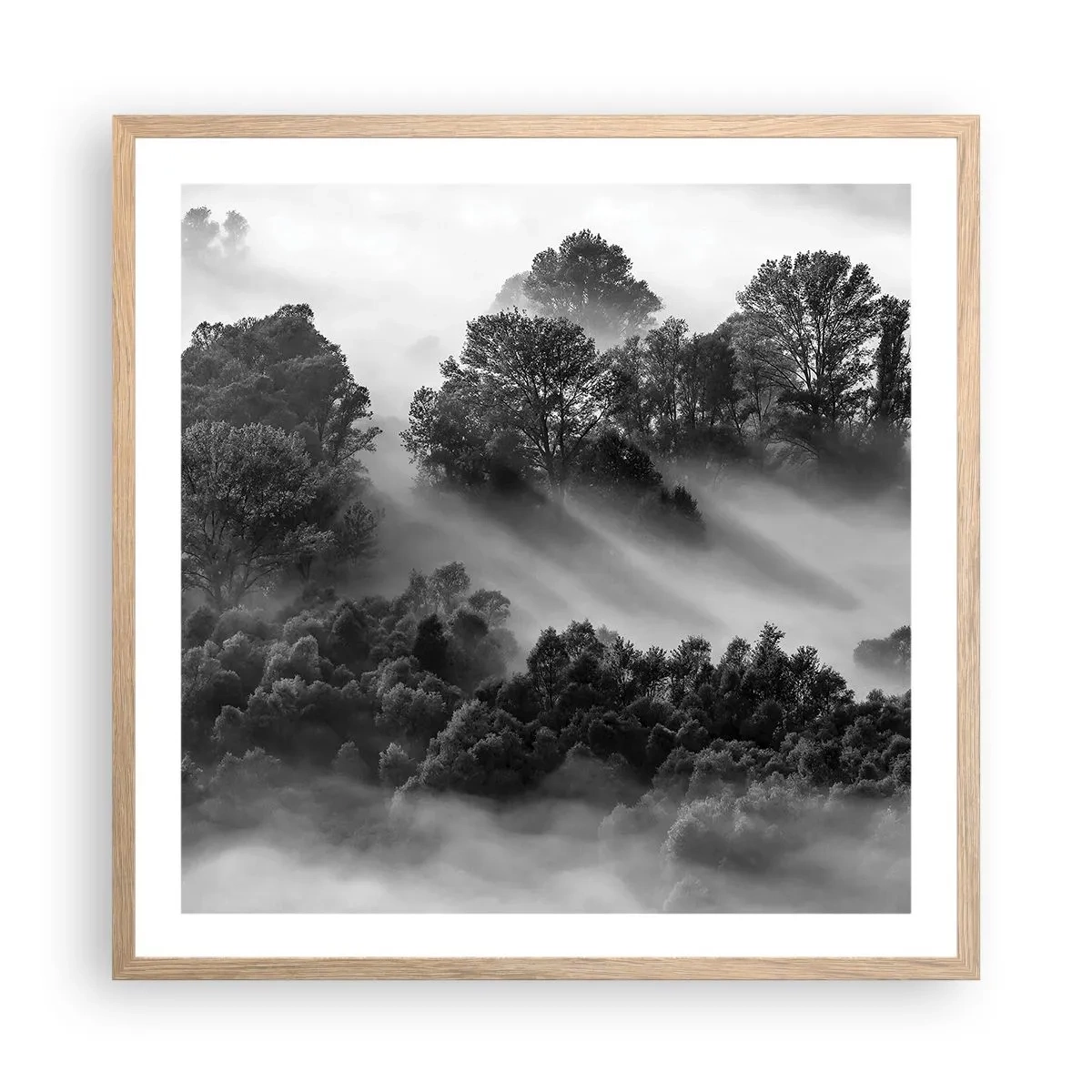 Plakat w ramie jasny dąb - Wstający ze snu - 60x60 cm