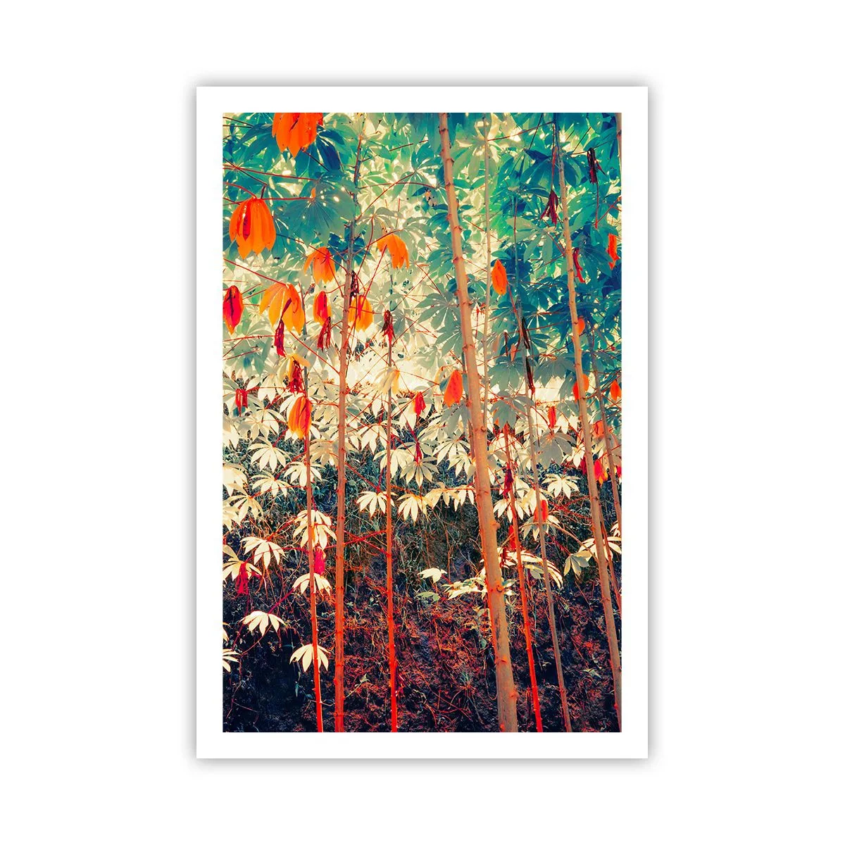 Plakat - Tajemne życie liści - 61x91 cm