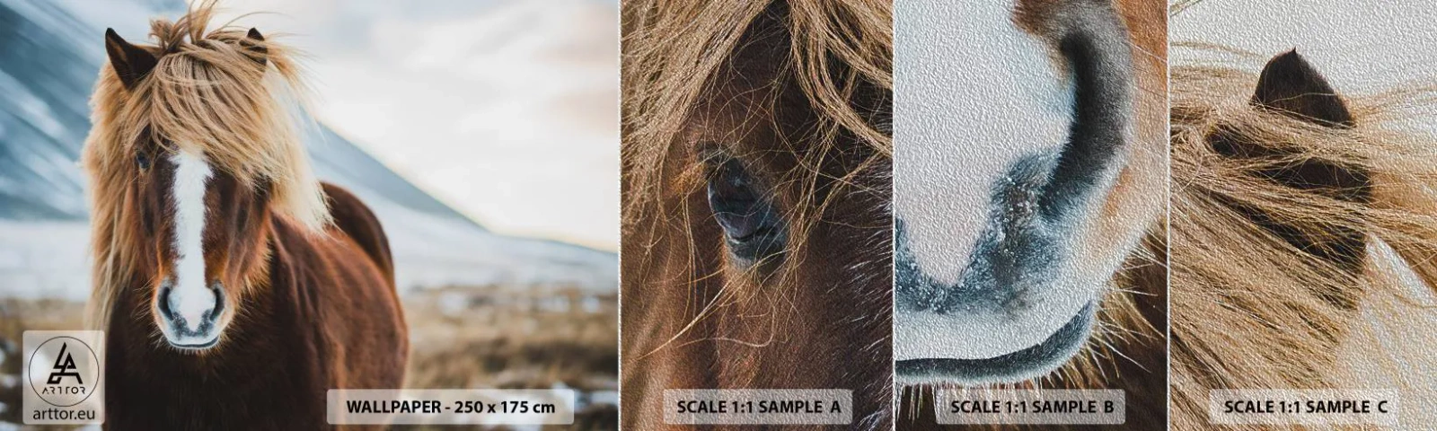 Fototapeta Próbka Premium Sand - Czujesz wolność? - Koń, Natura, Zwierzęta - 100x30 cm