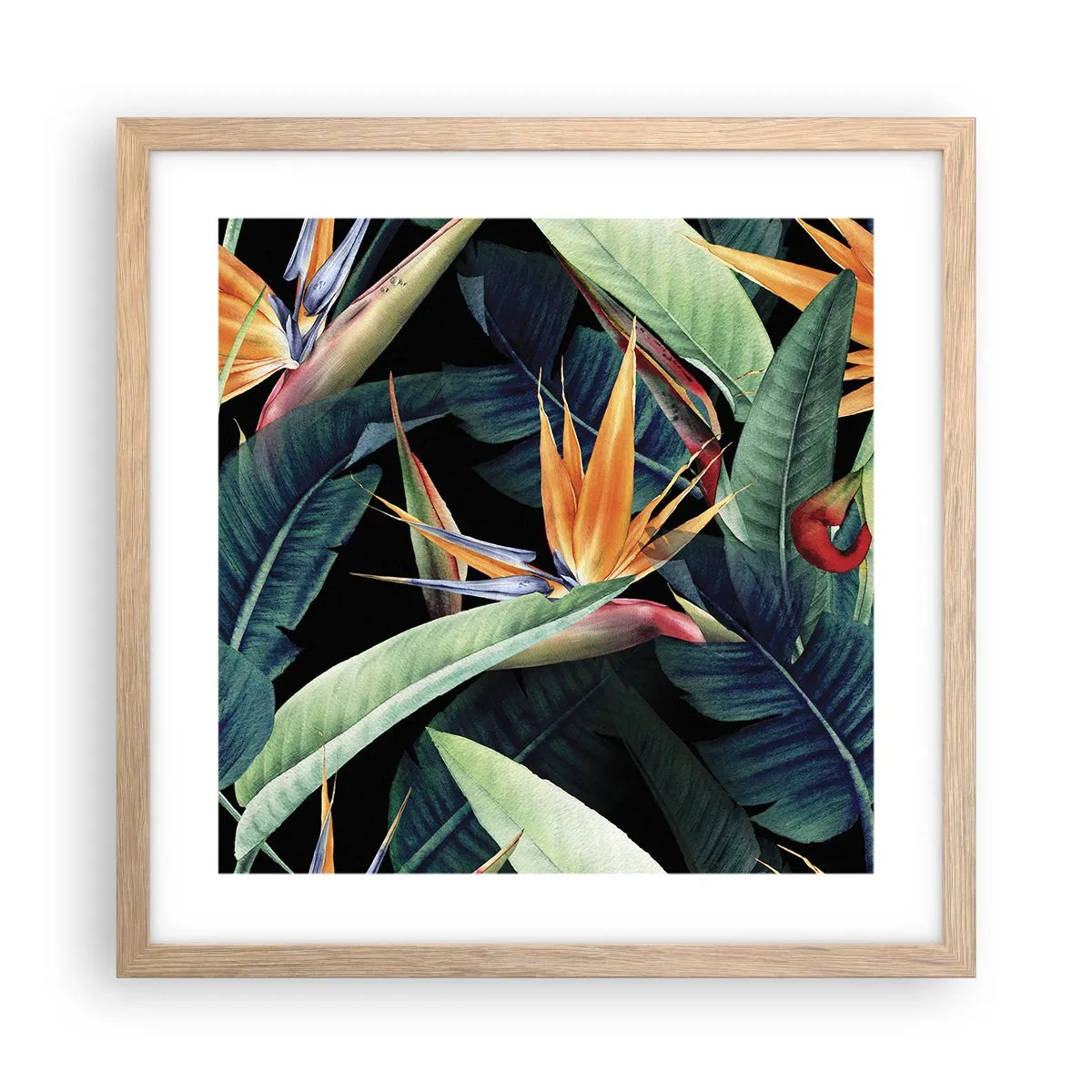 Plakat w ramie jasny dąb - Płomienne kwiaty tropików - 40x40 cm