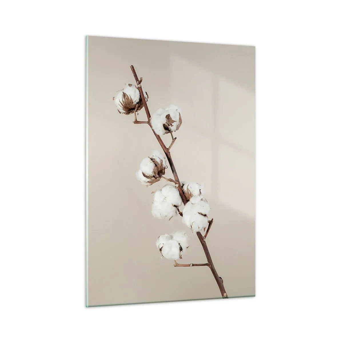Obraz na szkle - Gałązka bawełny na jasnym, minimalistycznym tle - 50x70cm - U źródła miękkości - Nowoczesna dekoracja ścienna do salonu, kuchni i sypialni ARTTOR
